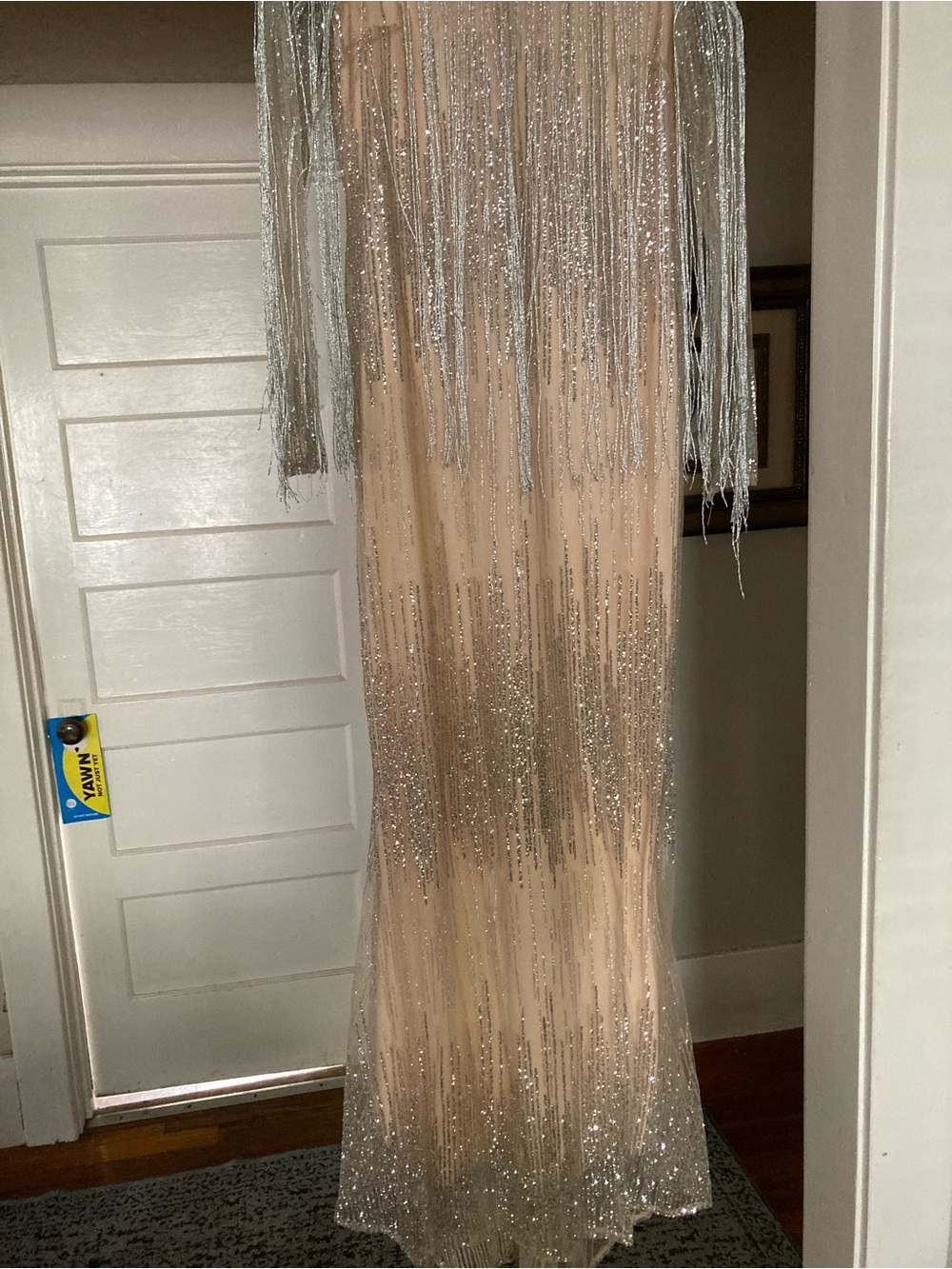 Gorgeous & fun sparkle fringe dress